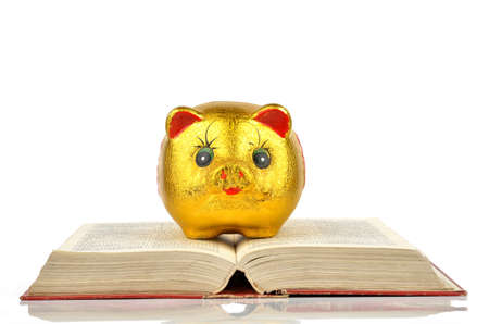 Piggy bank and bookの写真素材