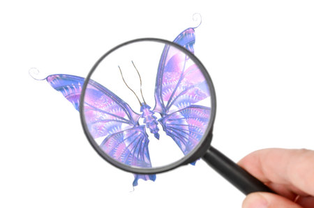 Butterflyの写真素材