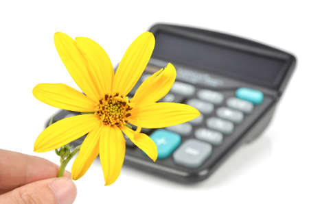 Jerusalem artichoke flower and calculatorの写真素材