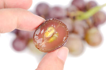 grapeの写真素材
