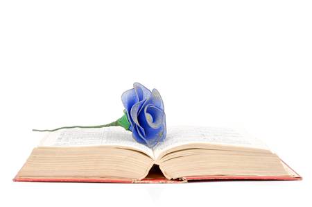 Flower and dictionaryの写真素材