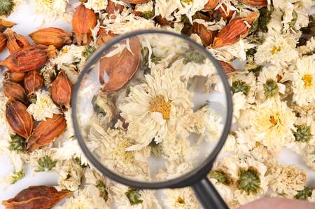 Chinese cool teaの写真素材