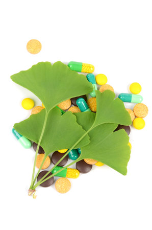 Gingkoの写真素材