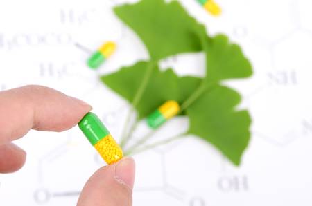 Gingkoの写真素材