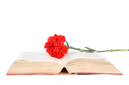 Carnation and bookの写真素材