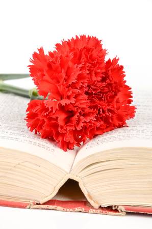 Carnation and bookの写真素材