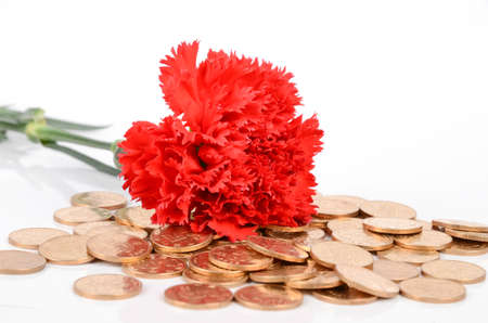 Red carnation and coinsの写真素材