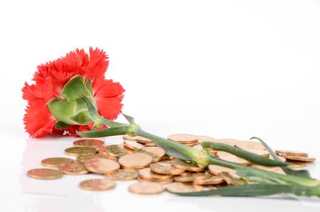 Red carnation and coinsの写真素材