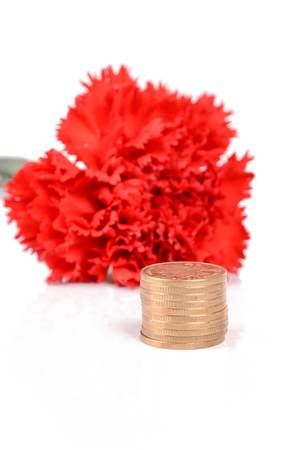 Red carnation and coinsの写真素材