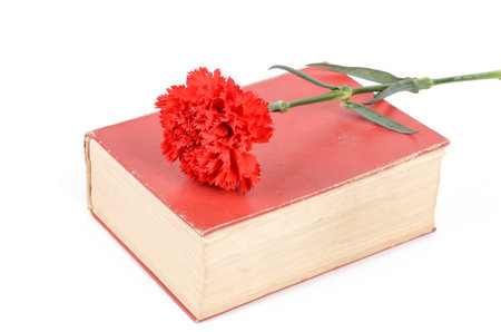Carnation and bookの写真素材