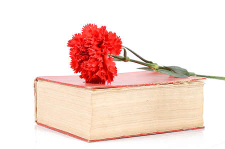 Carnation and bookの写真素材