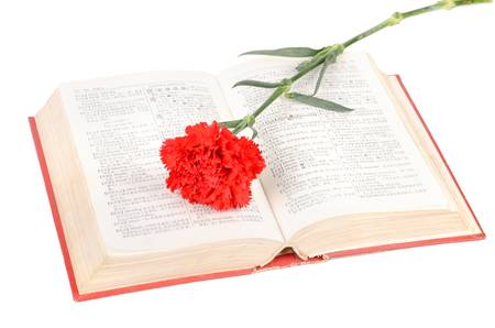 Carnation and bookの写真素材