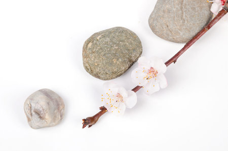 Zen