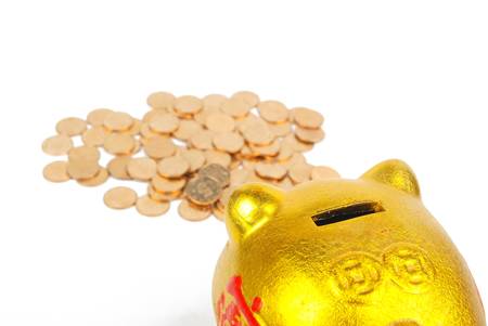 Piggy bank and coinsの写真素材