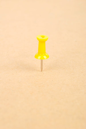 Push pin
