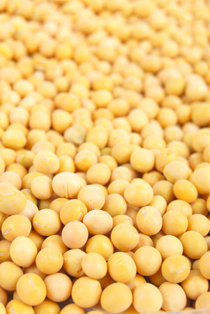 Soy beansの写真素材