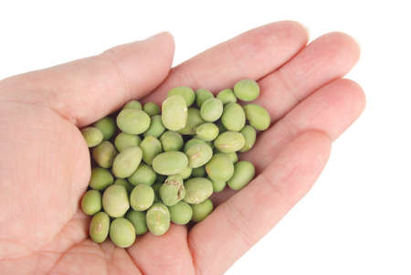 Green soy beansの写真素材