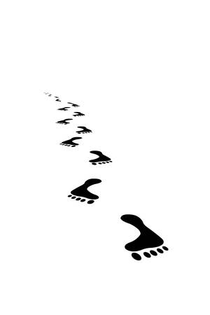 Footprintの写真素材