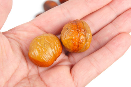 Chestnuts