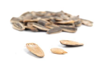 Sunflower seedsの写真素材