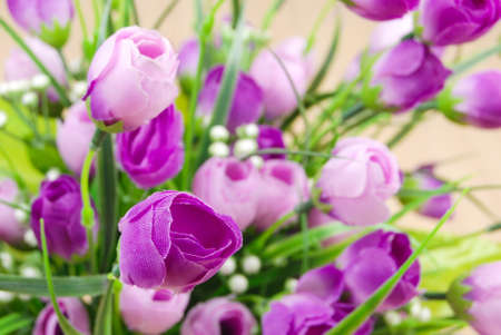 Flower on floorの写真素材