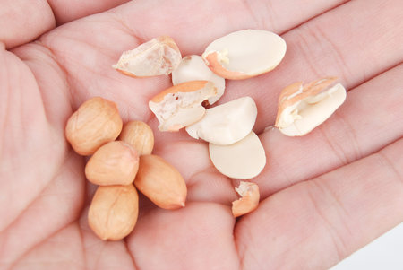 Peanut