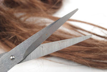Scissors and hairの写真素材