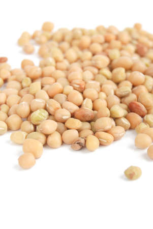 Adzuki beansの写真素材