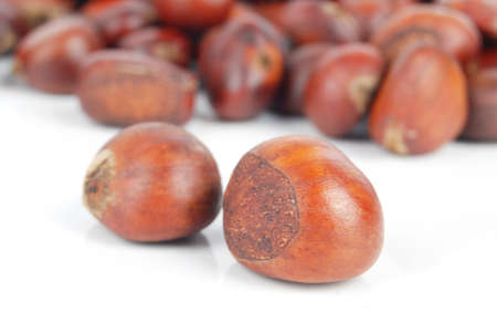 Chestnutの写真素材