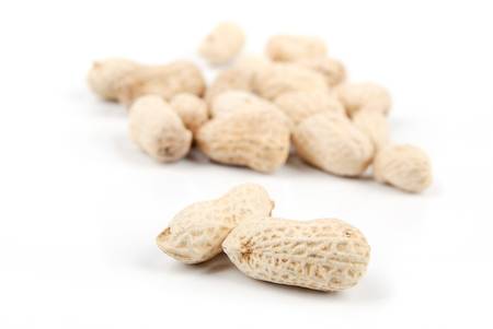 Peanutの写真素材