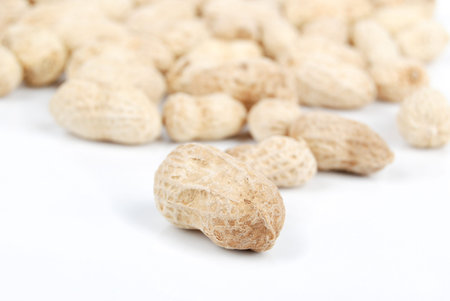 Peanut