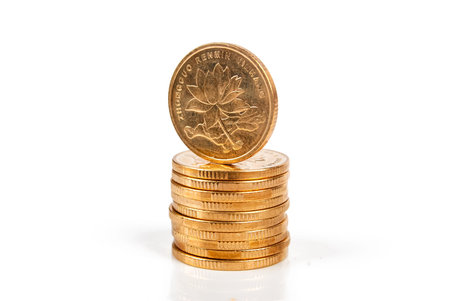 Coin
