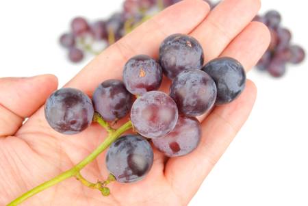 Grapeの写真素材