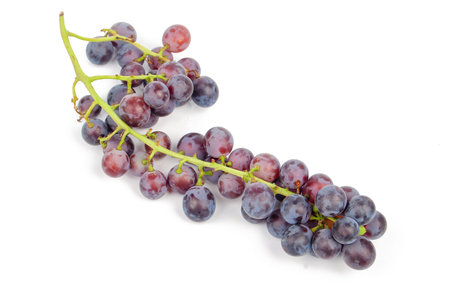 Grape