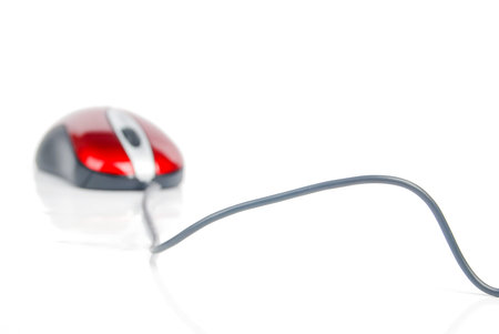 Mouse