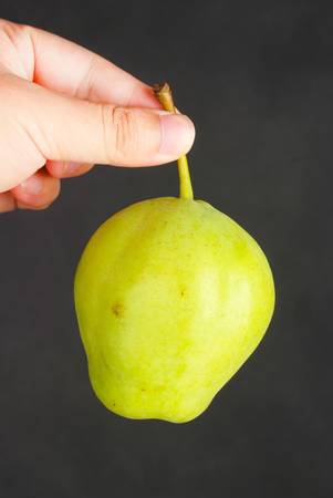 Pearの写真素材