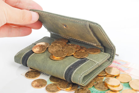 Wallet with money