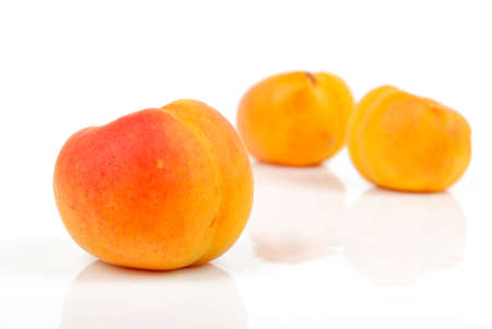 Apricotの写真素材