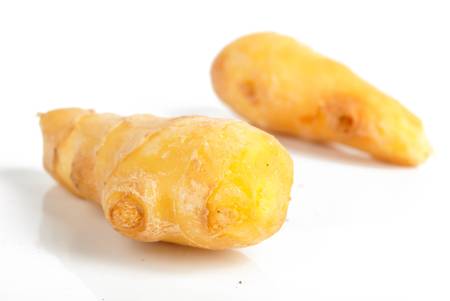 Gingerの写真素材