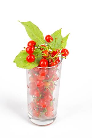 Cherryの写真素材