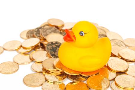 Rubber duck on coinの写真素材