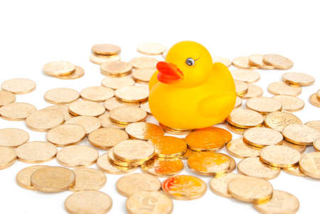 Rubber duck on coinの写真素材
