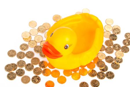 Rubber duck on coinの写真素材