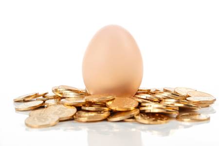 Egg with coinの写真素材
