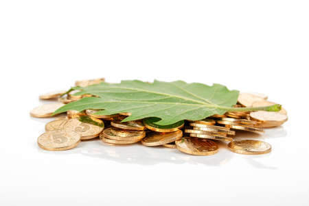 Leaf and coinの写真素材