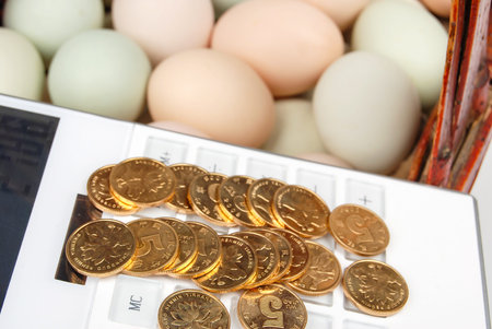 Sale eggs