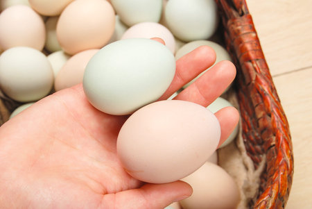Eggs