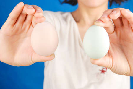 Eggsの写真素材