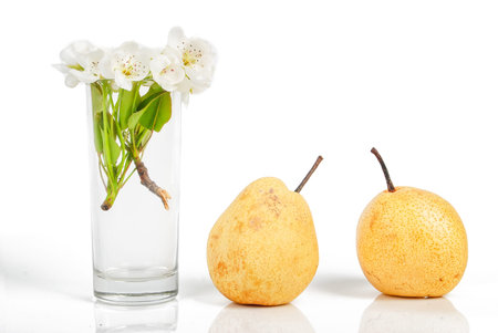 Pear and flower