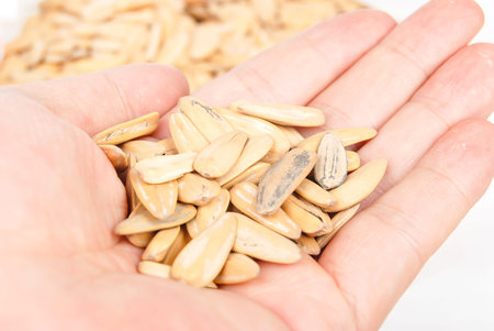 Sunflower seeds